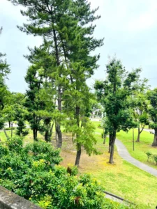 公園1